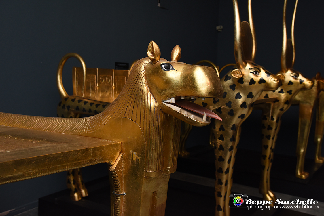 VBS_5117 - Tutankhamon - Viaggio verso l'eternità.jpg
